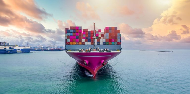 Export customs clearance and transit services